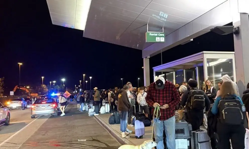 Image 12 DMID1 6ahlysh8p 1024x768