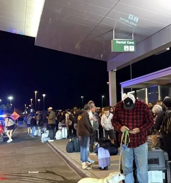 Image 12 DMID1 6ahlysh8p 1024x768