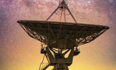 adromedadish3 683x1024 1 20260318 015033