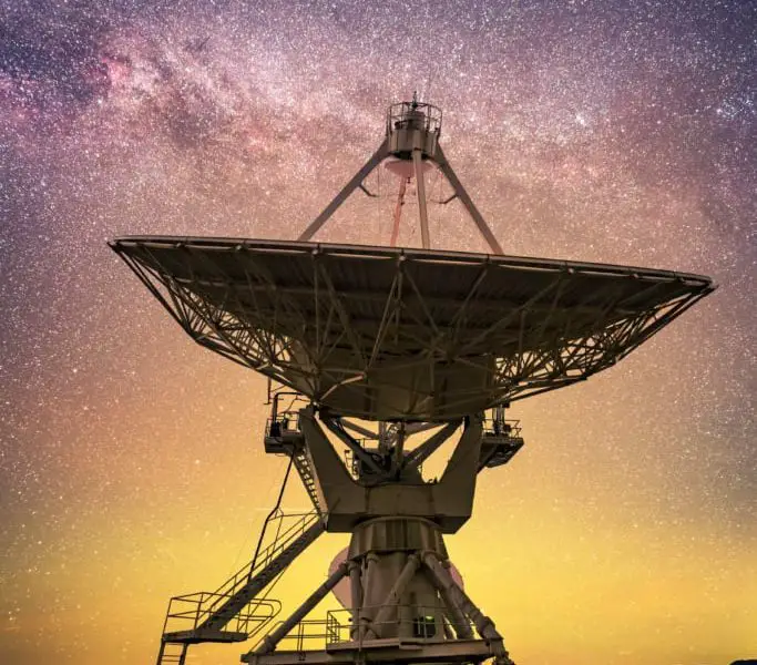 adromedadish3 683x1024 1 20260318 015033