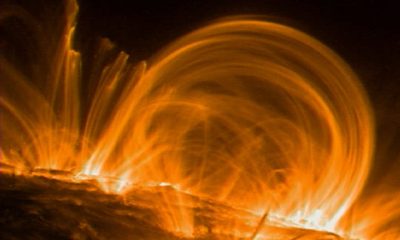 coronal loops trace 6nov1999 720x500 20260329 230813