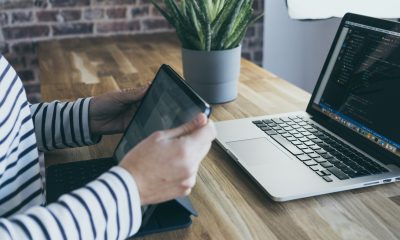 aloe vera plant on grey pot on table with MacBook Pro and iPad