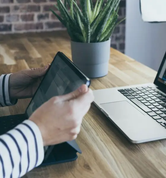 aloe vera plant on grey pot on table with MacBook Pro and iPad