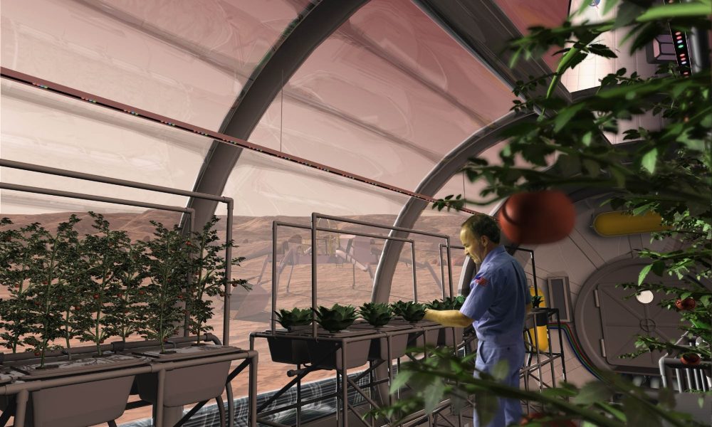 potatoes in space greenhouse 20260228 200007.webp