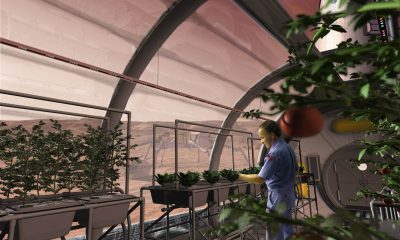 potatoes in space greenhouse 20260228 200007.webp