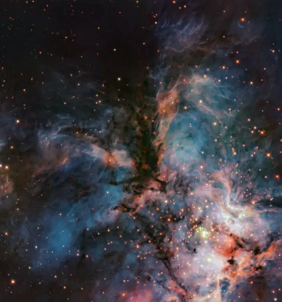 potw2609a 20260306 194109