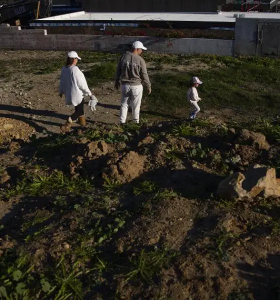 urlhttps3A2F2Fcalifornia times brightspot.s3.amazonaws.com2F462Fc12F80a73826480c8d80595addf4