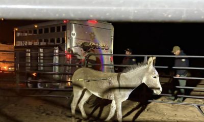 urlhttps3A2F2Fcalifornia times brightspot.s3.amazonaws.com2F482F772F89d8c1214bdfa75ccccea764