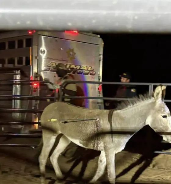 urlhttps3A2F2Fcalifornia times brightspot.s3.amazonaws.com2F482F772F89d8c1214bdfa75ccccea764