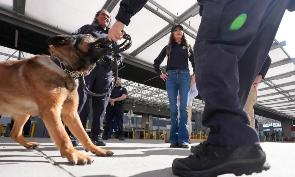 urlhttps3A2F2Fcalifornia times brightspot.s3.amazonaws.com2Fc72Fd12F5fd590854fcb874fc3f2b2d6