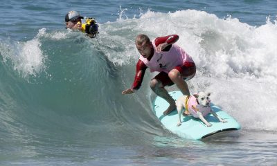 urlhttps3A2F2Fcalifornia times brightspot.s3.amazonaws.com2Fzbk2Fdamlat images2FLA2FLA PHOT