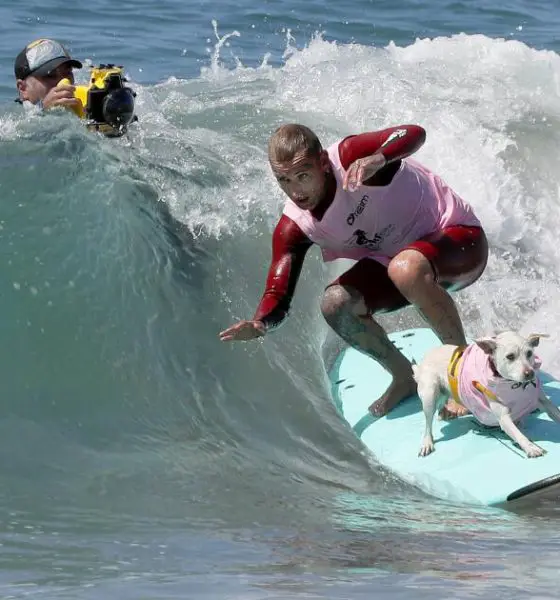 urlhttps3A2F2Fcalifornia times brightspot.s3.amazonaws.com2Fzbk2Fdamlat images2FLA2FLA PHOT