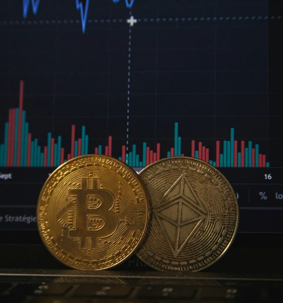 blue and red line illustration