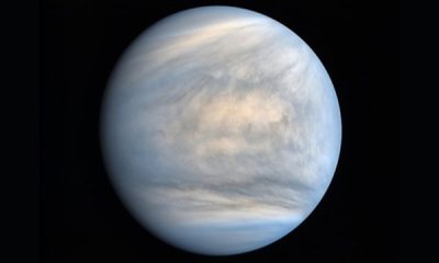 Venus1 1 20260404 211329