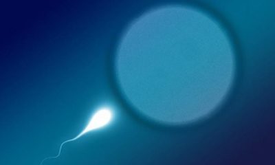 aa Cover r7s8taq5hp0fm1upu432k0g040 20170810104629.Medi 750 20260428 043532