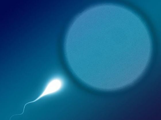 aa Cover r7s8taq5hp0fm1upu432k0g040 20170810104629.Medi 750 20260428 043532