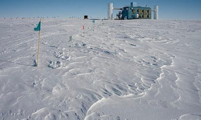 icecube neutrino observatory 20260412 001604