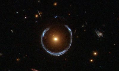 A Horseshoe Einstein Ring from Hubble 1 20260515 070108