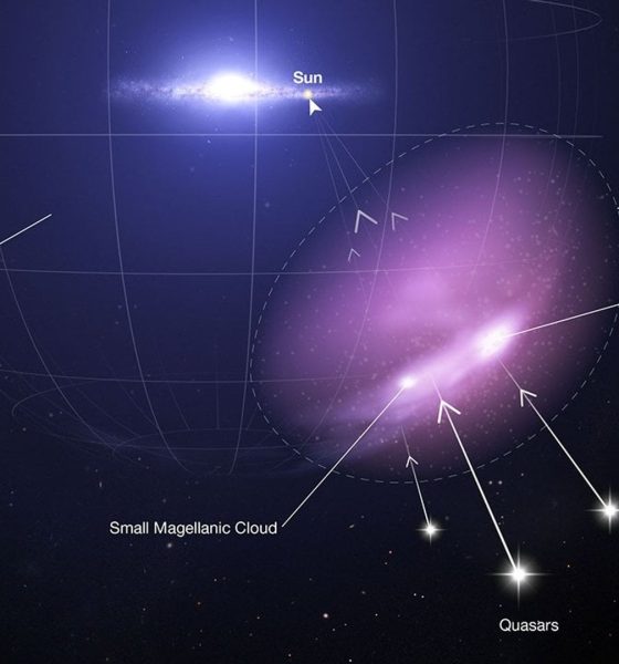 STScI 01GDXB7A5VZ34D0SE1800DAEH3 20260501 154018
