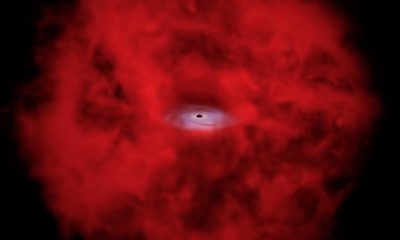 xraydot illus unlabeled 20260510 195430