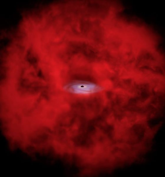 xraydot illus unlabeled 20260510 195430