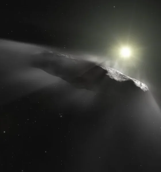Artist impression of Oumuamua 20260606 215343.webp