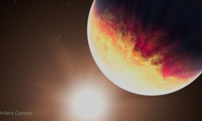 STScI 01KTQRQV4XDP5XZRVJT8KB2MFA 750 20260624 032052