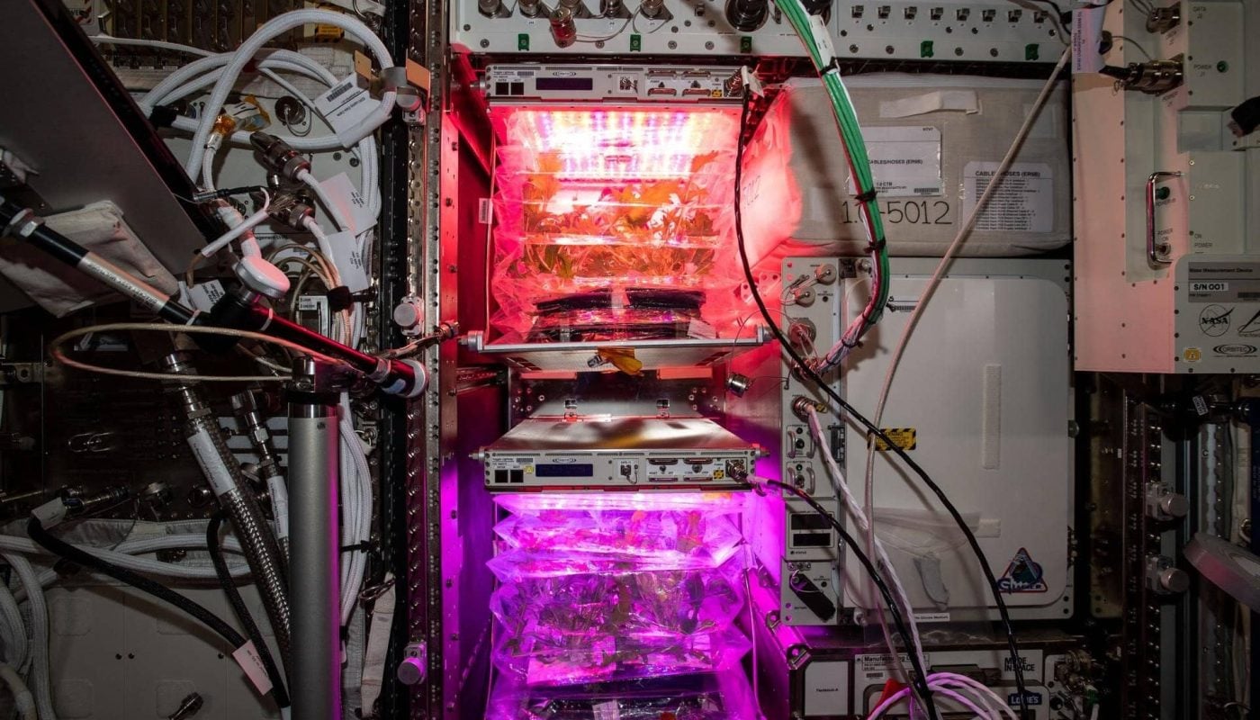 Veggie on ISS by NASA