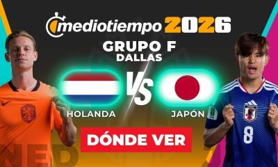 consulta previa paises bajos vs 2