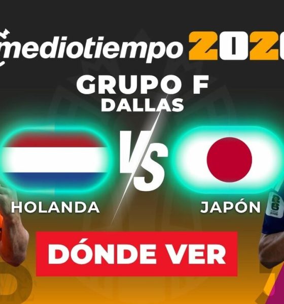 consulta previa paises bajos vs 2