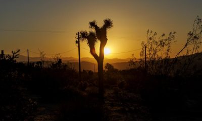 urlhttps3A2F2Fcalifornia times brightspot.s3.amazonaws.com2F8c2F822Fc2d9c698467eb810b57f57fc