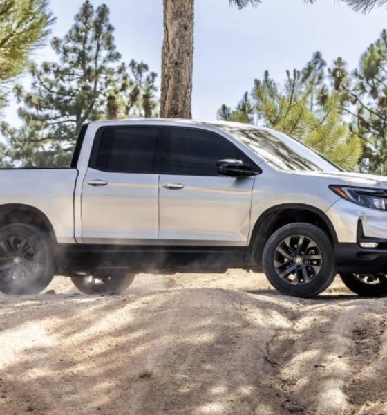 44291995 1784818792093 Ridgeline