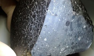 MarsMeteorite NWA7034 716969main black beauty full.jpg 750 20260822 042904