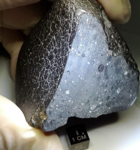 MarsMeteorite NWA7034 716969main black beauty full.jpg 750 20260822 042904